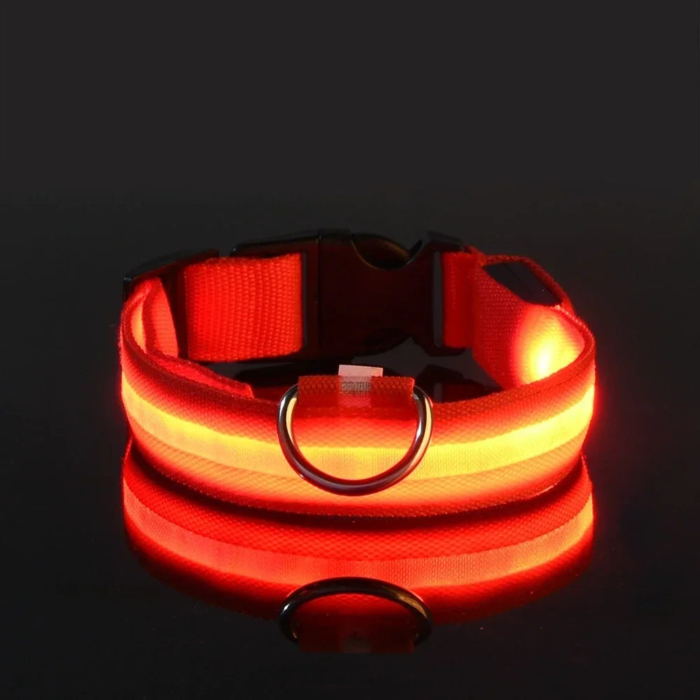 Dog Collar LED – Nylon, Night Safety, Flashing, Glow-in-the-Dark