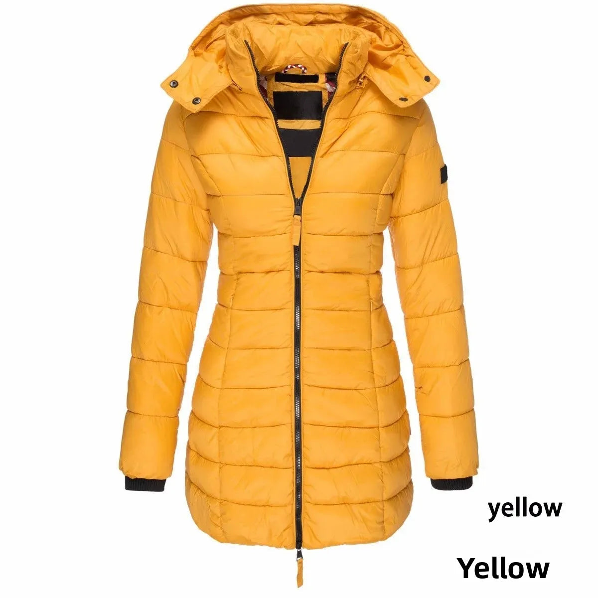 🧊 Winter Cotton Jacket – Manteau Chaud Coréen Élégant