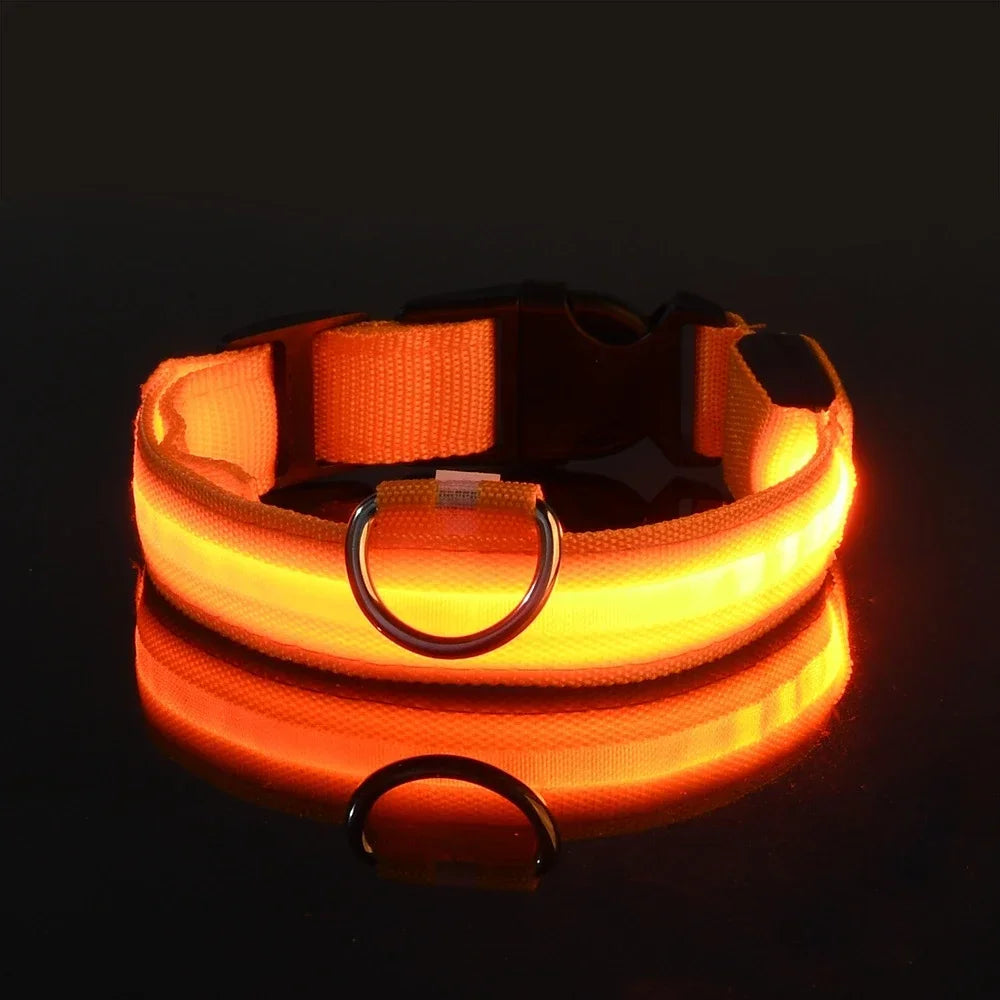 Dog Collar LED – Nylon, Night Safety, Flashing, Glow-in-the-Dark