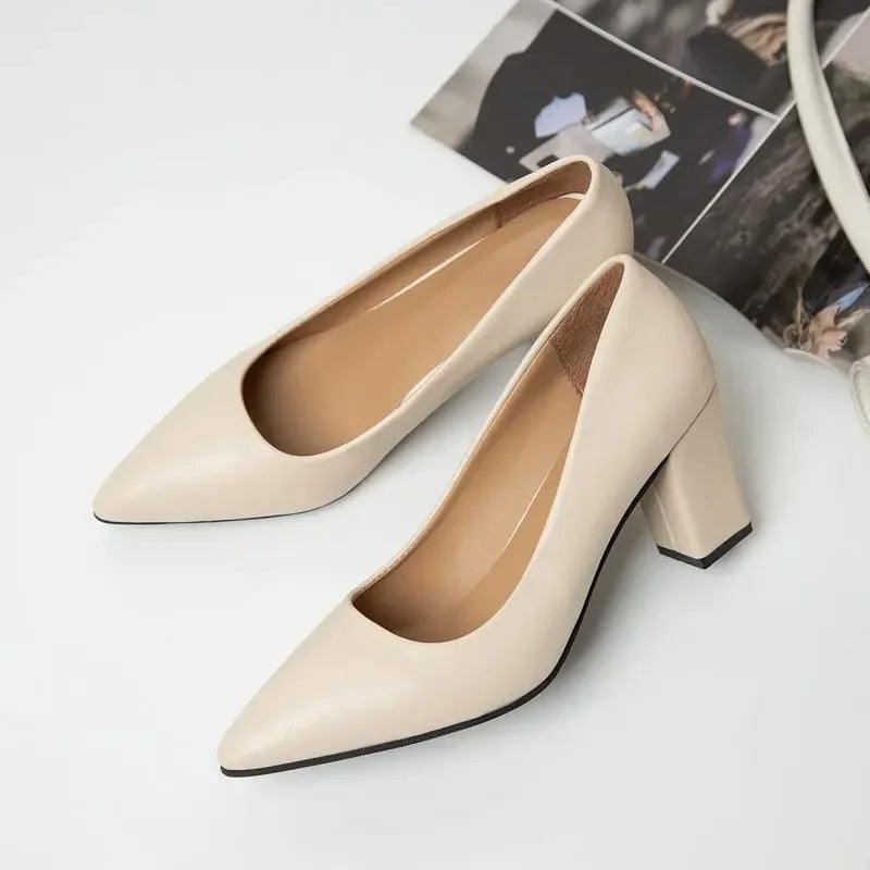 Women’s Korean Style Pointed High Heels