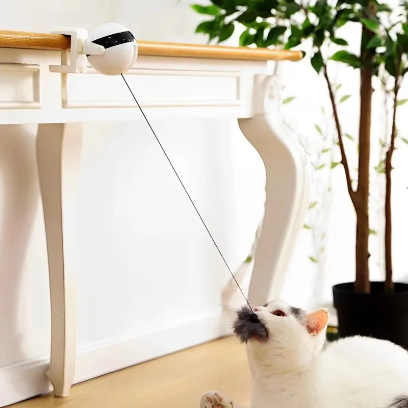 Automatic Cat Teaser Ball – Hands-Free, Clamp Design, 5-Min Timer, Auto Shutoff