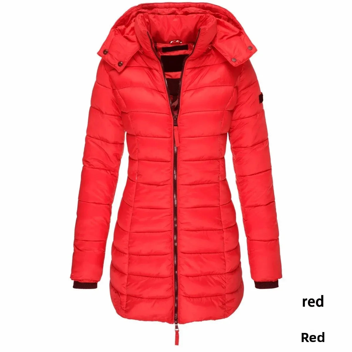 🧊 Winter Cotton Jacket – Manteau Chaud Coréen Élégant