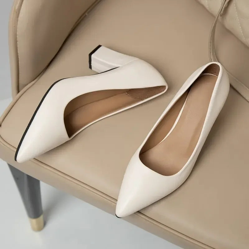 Women’s Korean Style Pointed High Heels