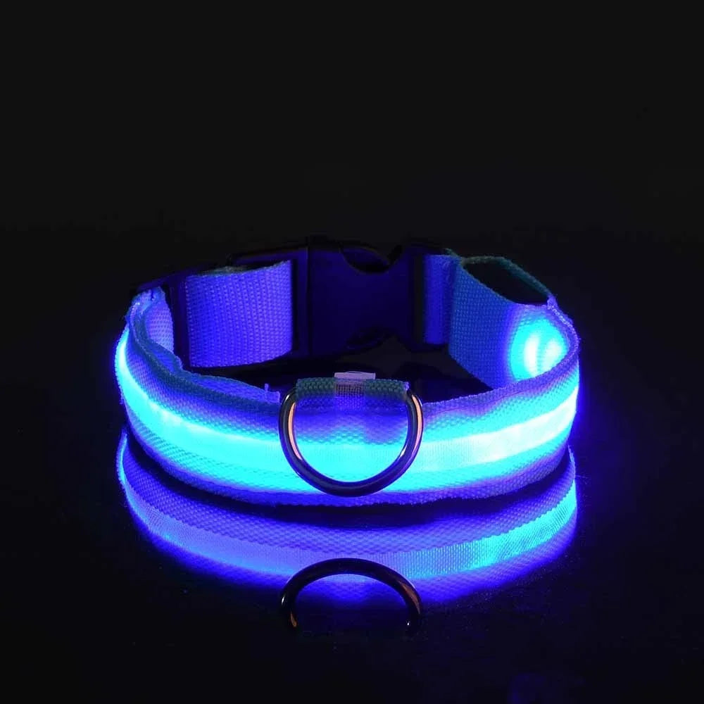 Dog Collar LED – Nylon, Night Safety, Flashing, Glow-in-the-Dark