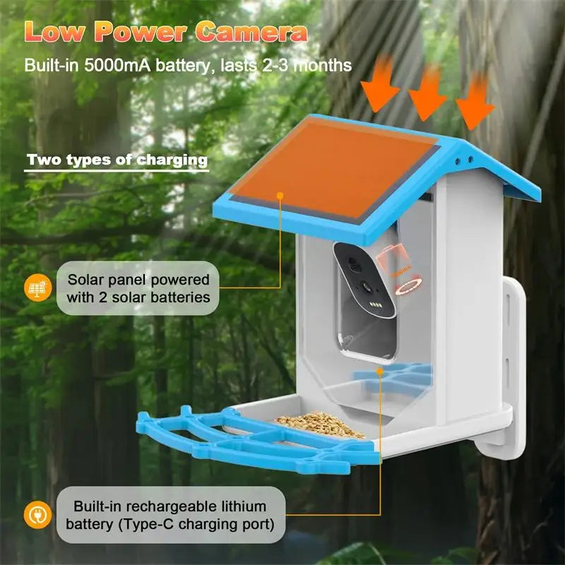 Smart Bird Feeder with Camera – 2K HD, AI Bird Identification, Solar Powered