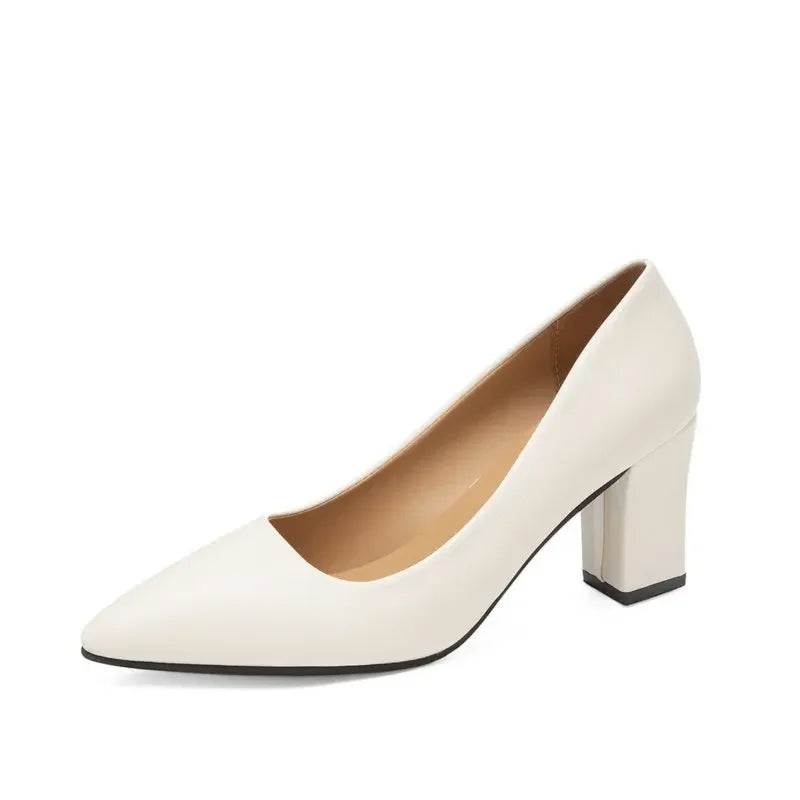 Women’s Korean Style Pointed High Heels
