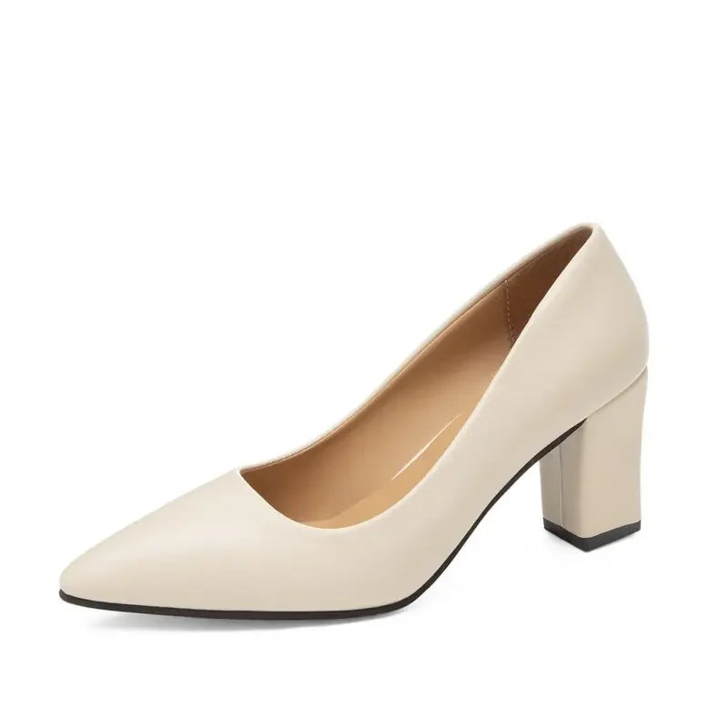 Women’s Korean Style Pointed High Heels