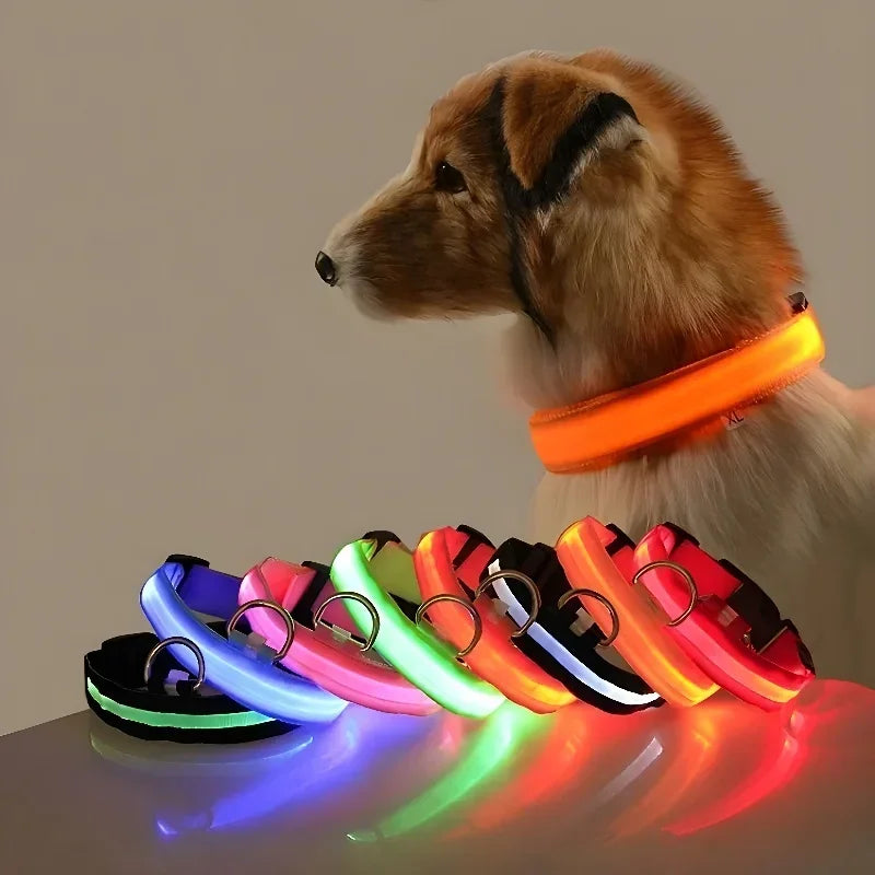 Dog Collar LED – Nylon, Night Safety, Flashing, Glow-in-the-Dark