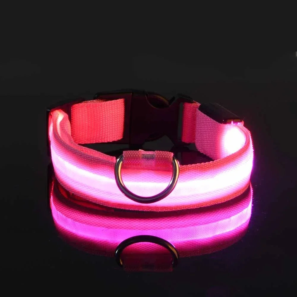 Dog Collar LED – Nylon, Night Safety, Flashing, Glow-in-the-Dark