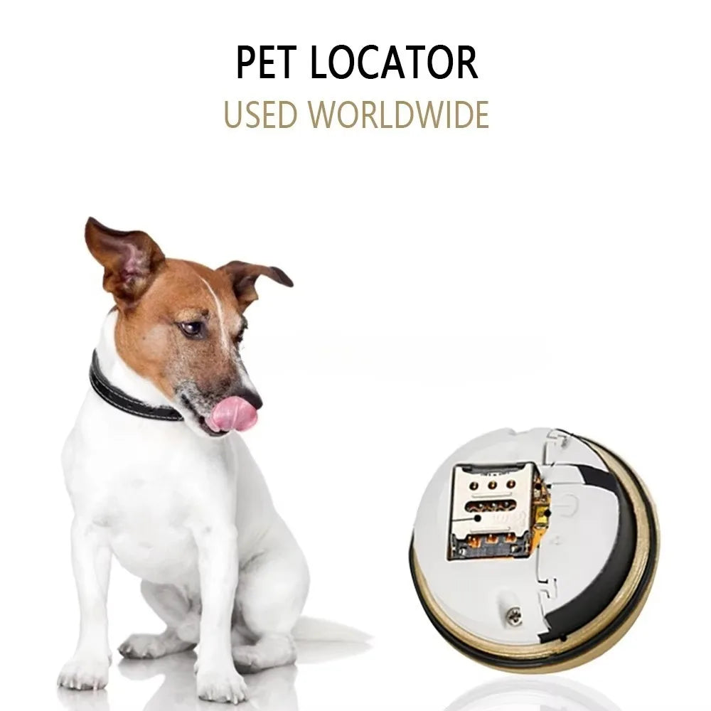 Pet GPS Dog Collar – Tracking, Locator, Smart GPS, Jingle Bell