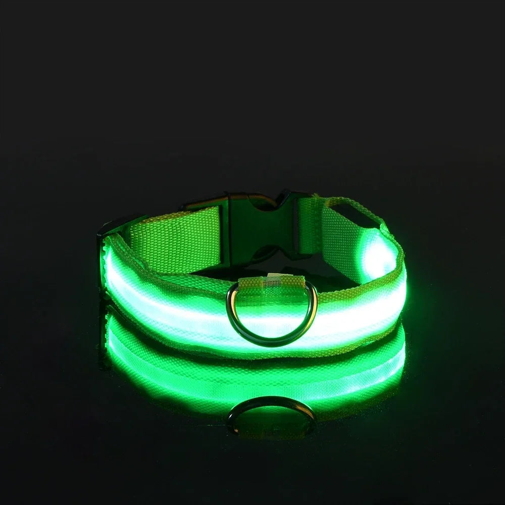 Dog Collar LED – Nylon, Night Safety, Flashing, Glow-in-the-Dark
