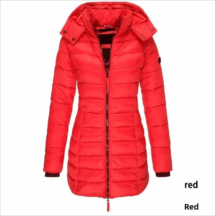 🧊 Winter Cotton Jacket – Manteau Chaud Coréen Élégant